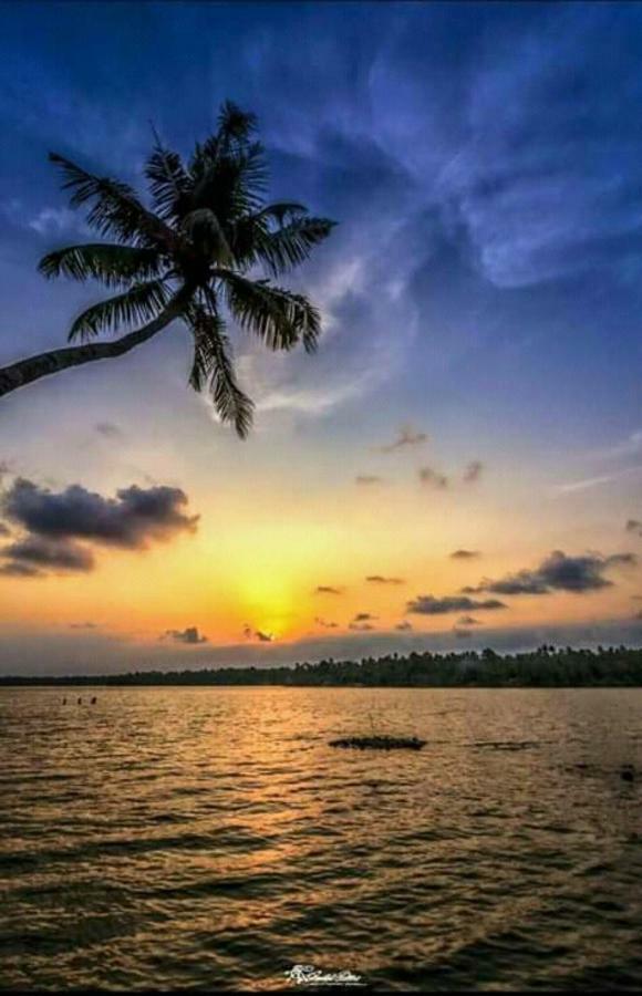 Rajatheeram Beach Homestay & Backwater Cruise Alleppey Alappuzha Dış mekan fotoğraf