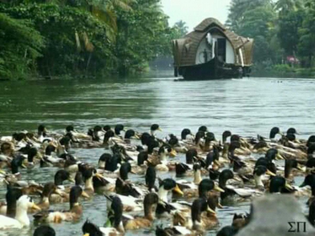 Rajatheeram Beach Homestay & Backwater Cruise Alleppey Alappuzha Dış mekan fotoğraf